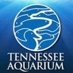 Tennessee Aquarium Promo Codes & Deals 2022